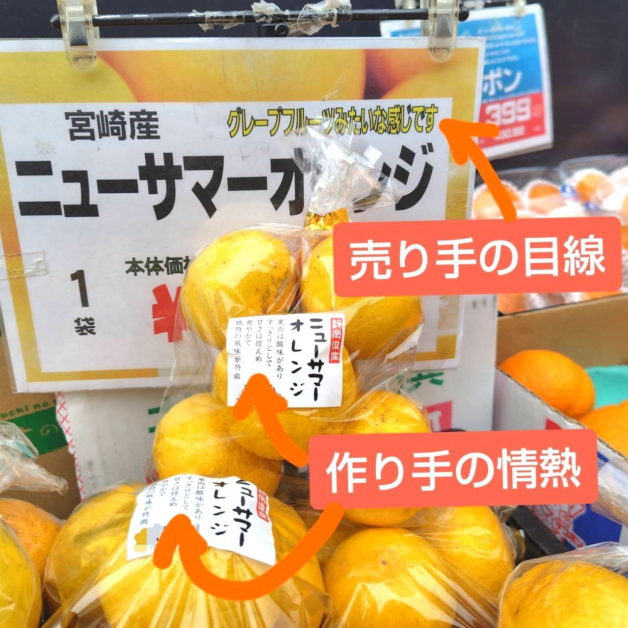 ニューサマーオレンジ/オオゼキ浅草雷門店