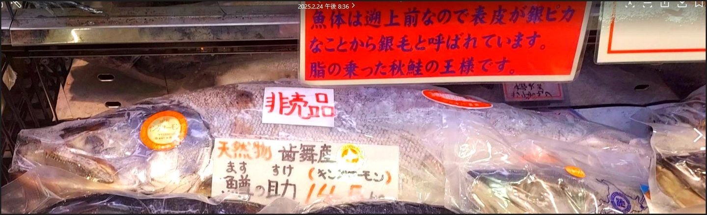 鱒の助=キングサーモン/吉池