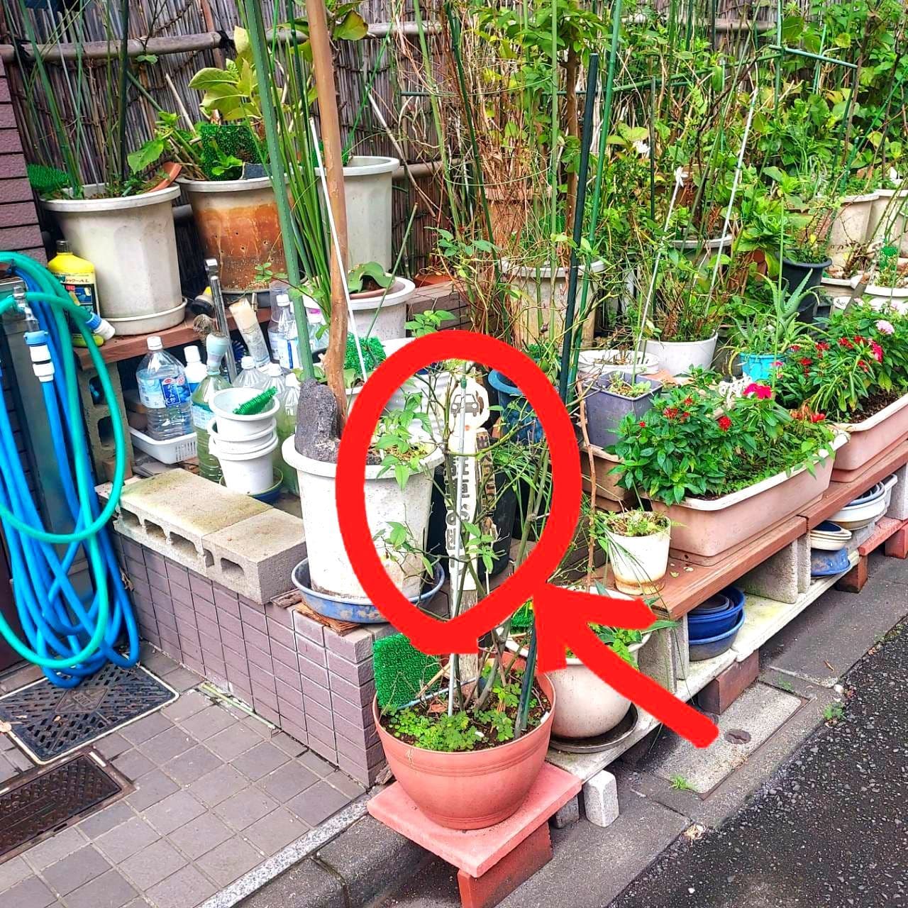 場違いな『駐車お断り』看板