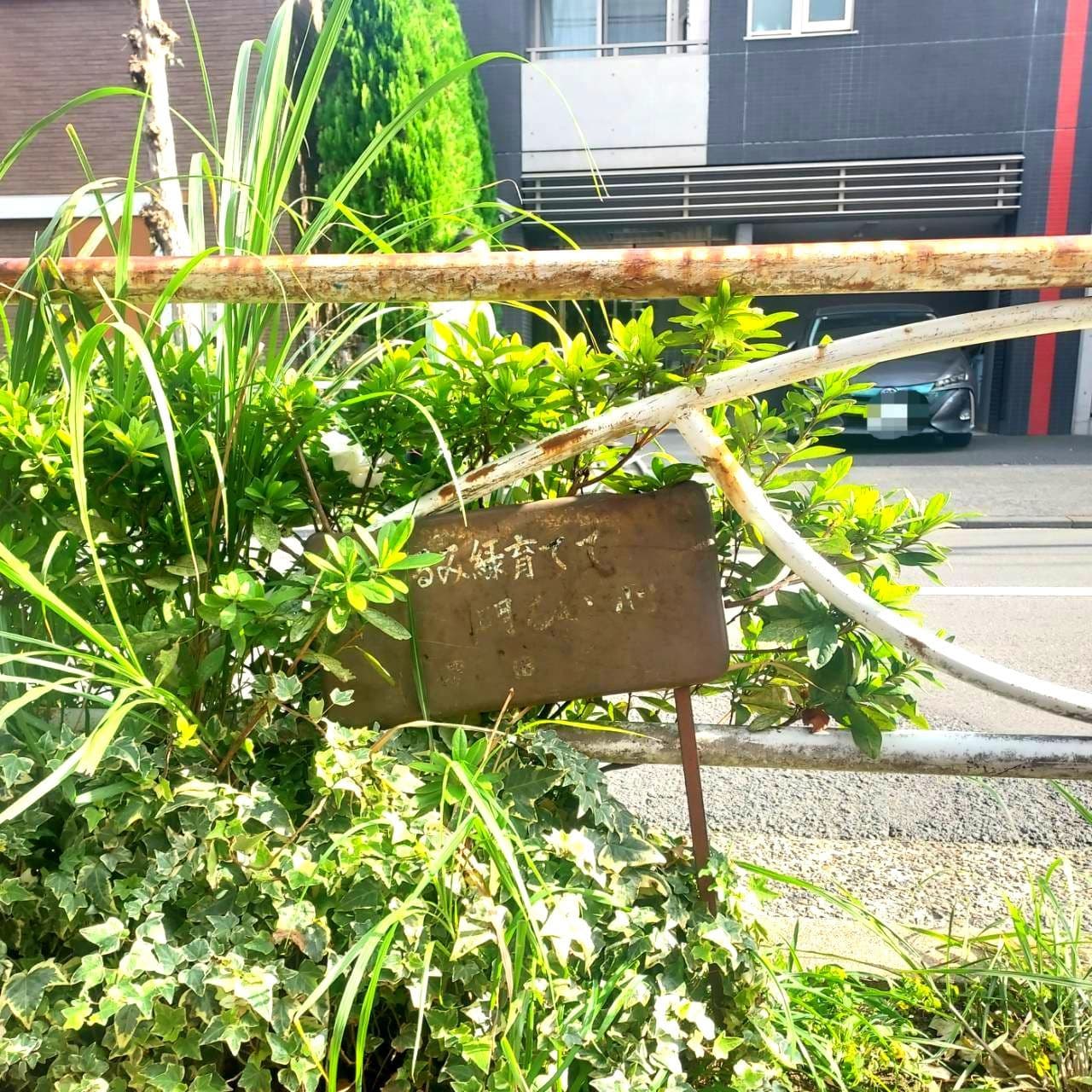 道緑育てて明るい心/東京都墨田区押上3丁目33-4