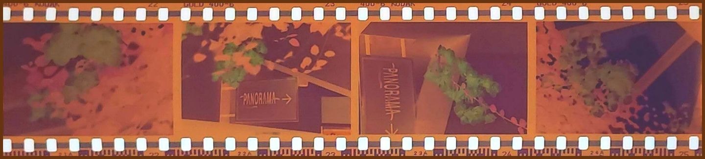 ネガフィルムの例