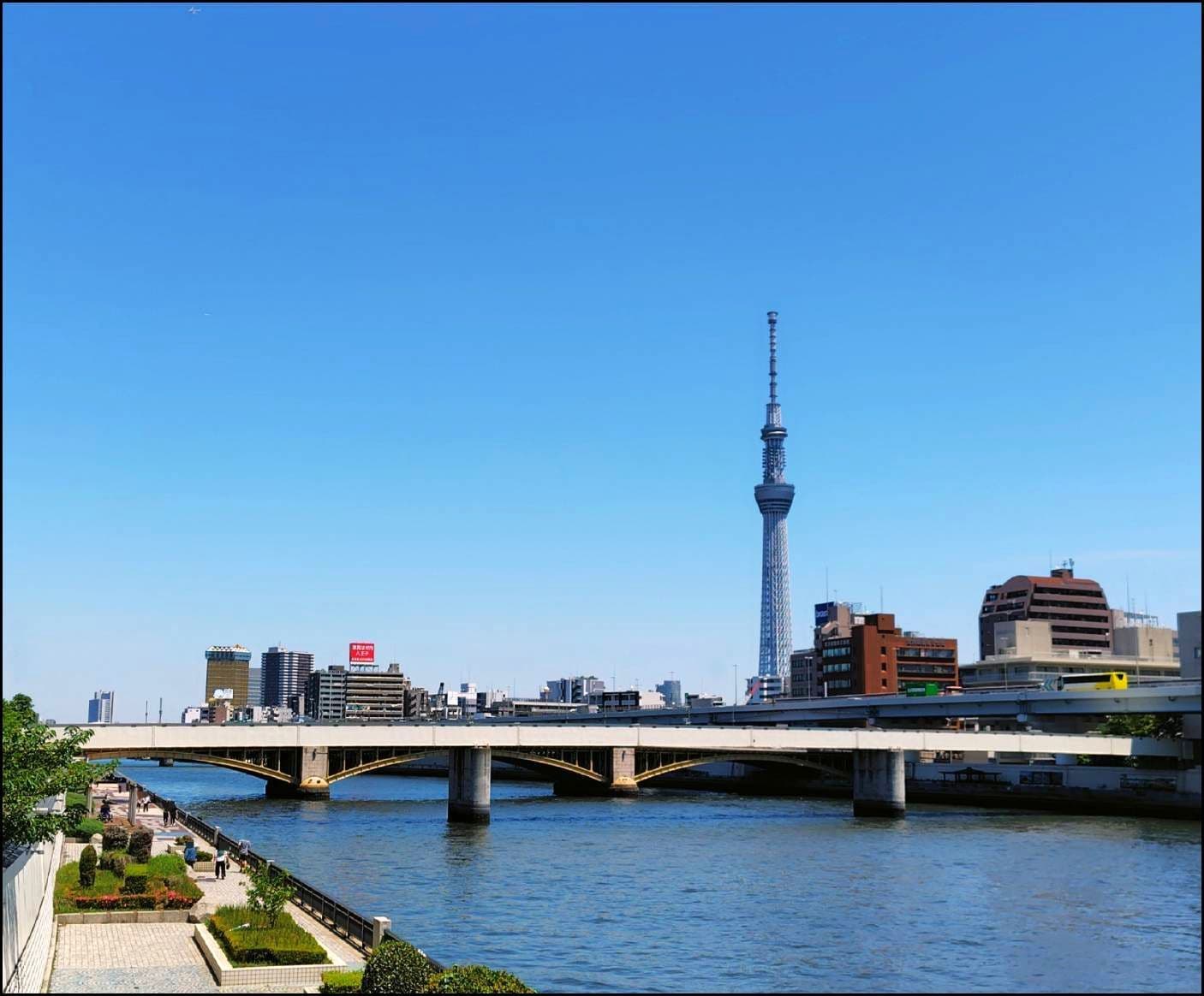 蔵前専用橋/全景/右岸下流側より
